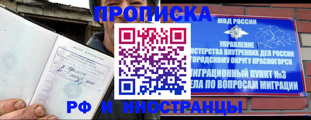 регистрация для школы в Камчатском крае